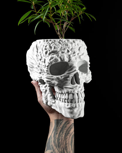 Skelett Blumentopf