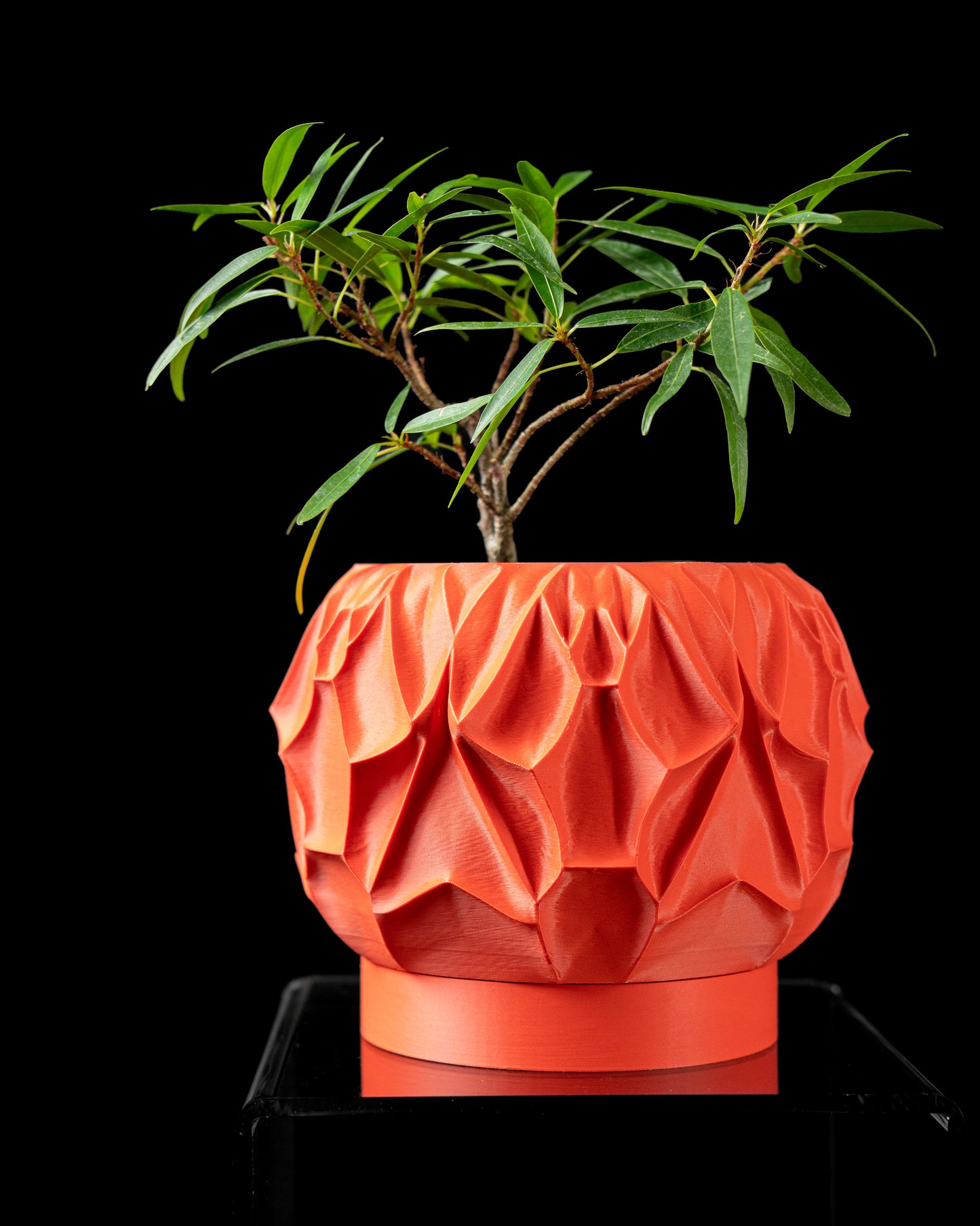 Vessel Blumentopf