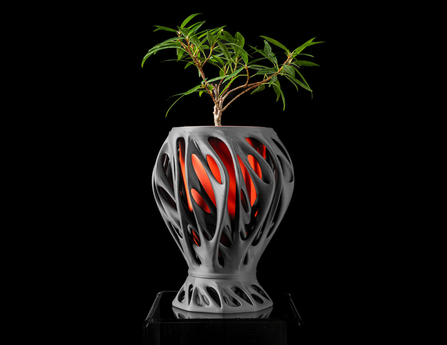 Mantis Blumentopf