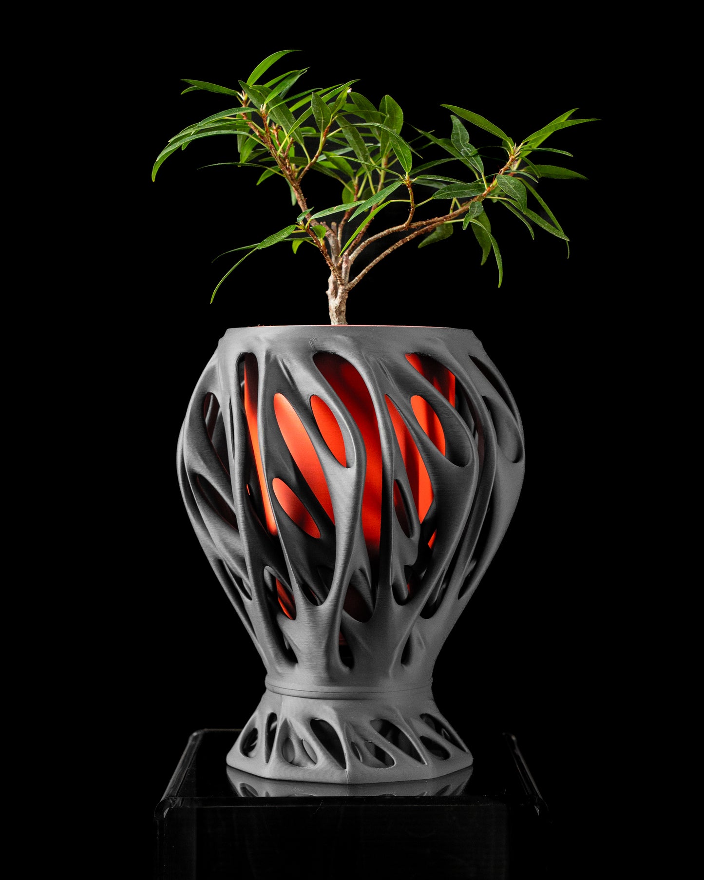 Mantis Blumentopf