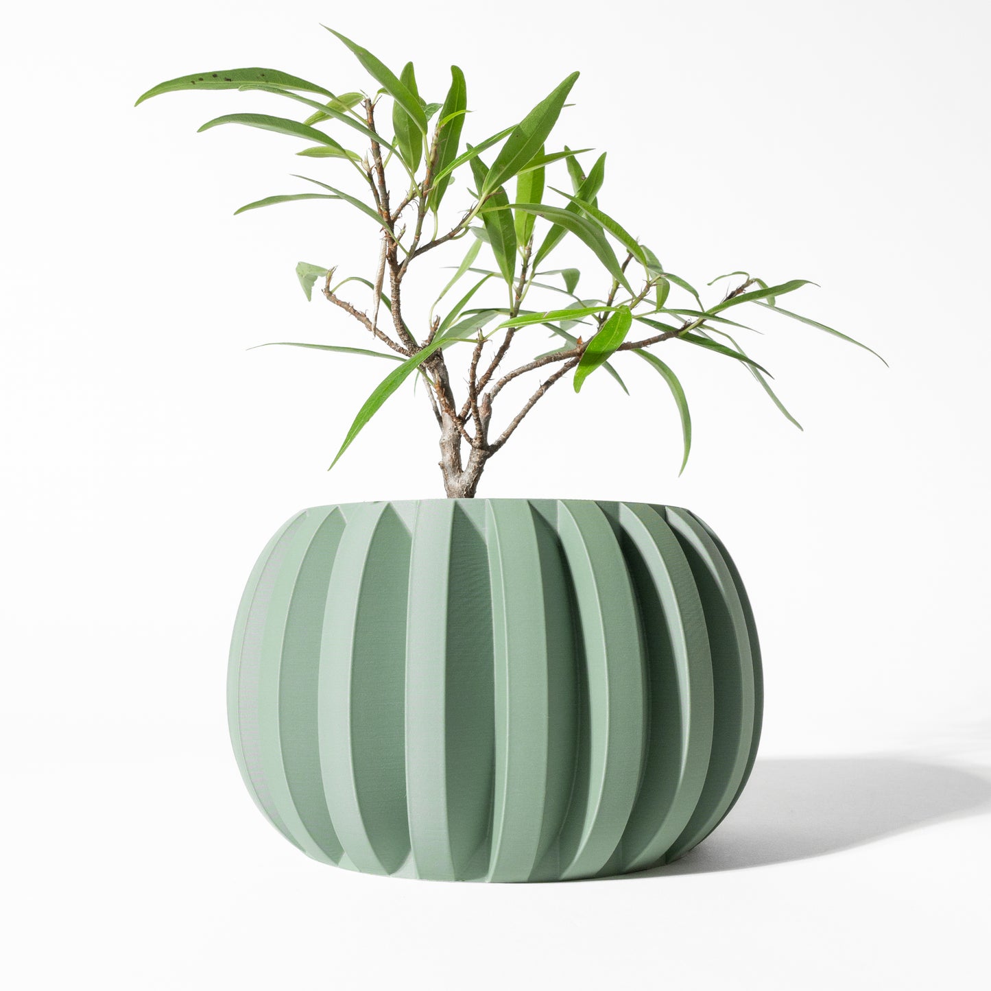 Jone Blumentopf