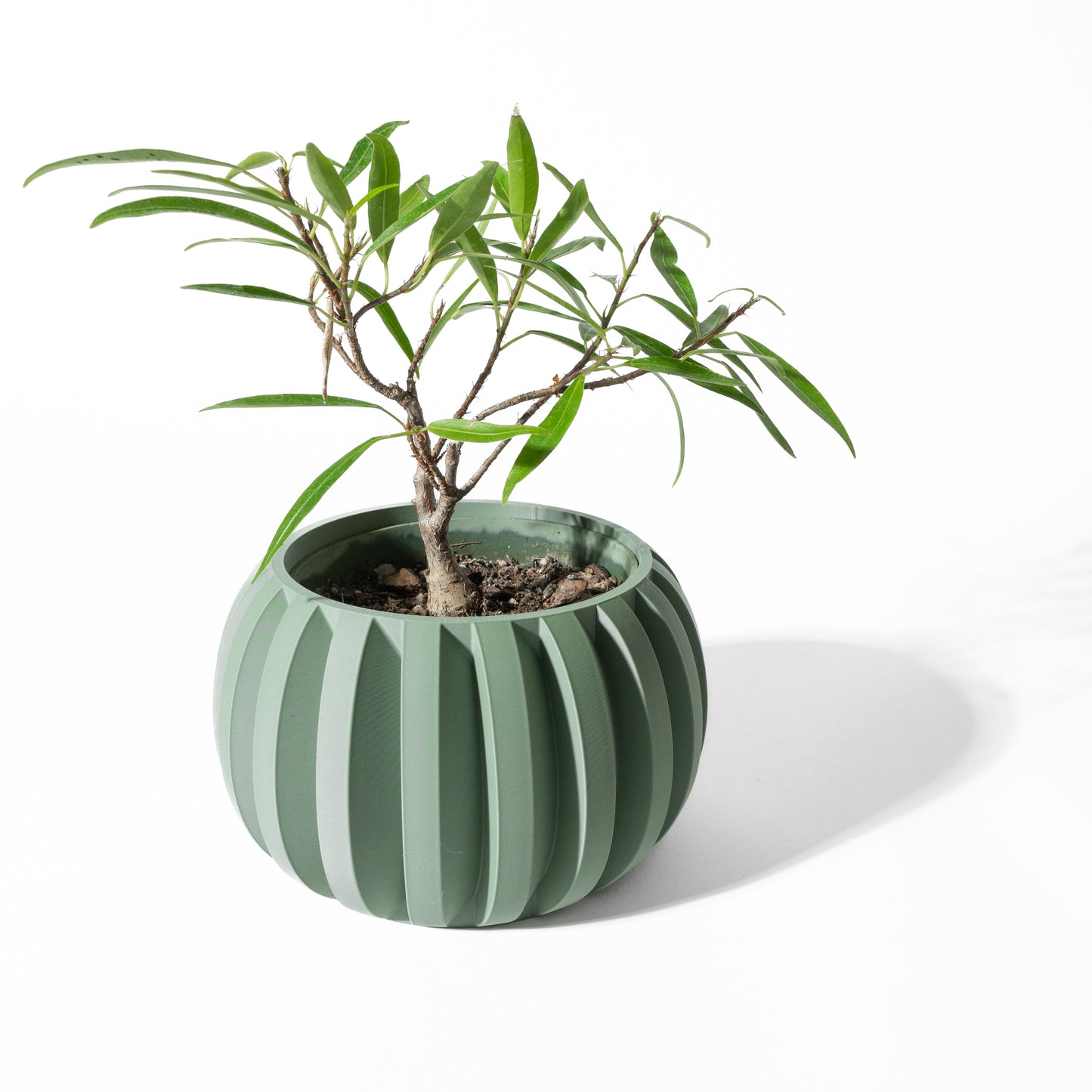Jone Blumentopf