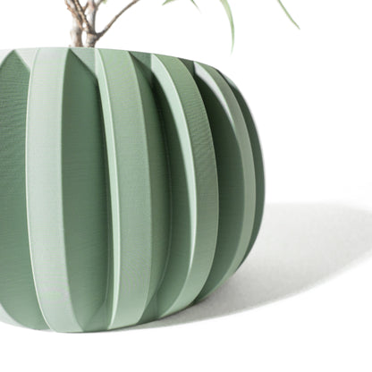 Jone Blumentopf