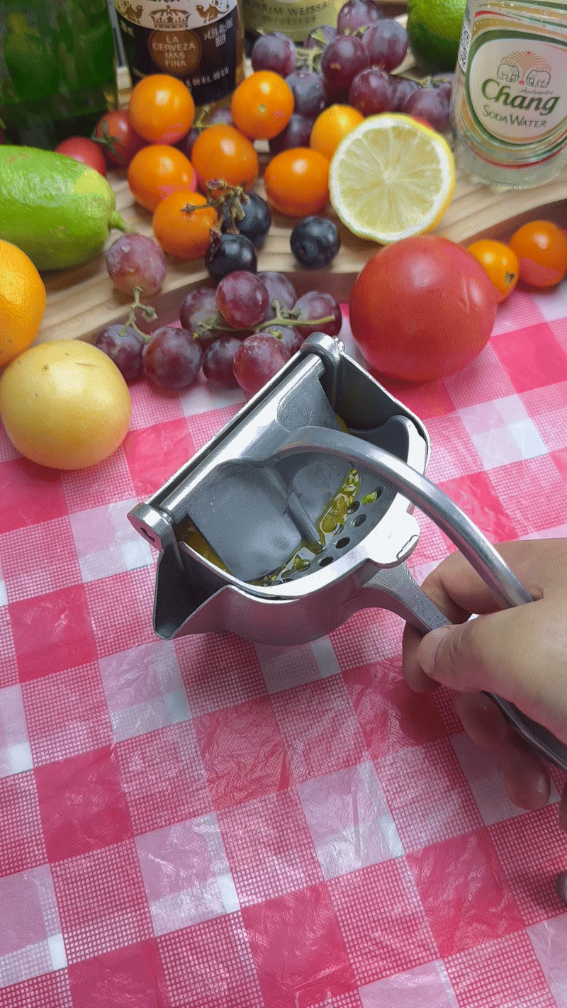 Manueller, vielseitiger Hand-Entsafter