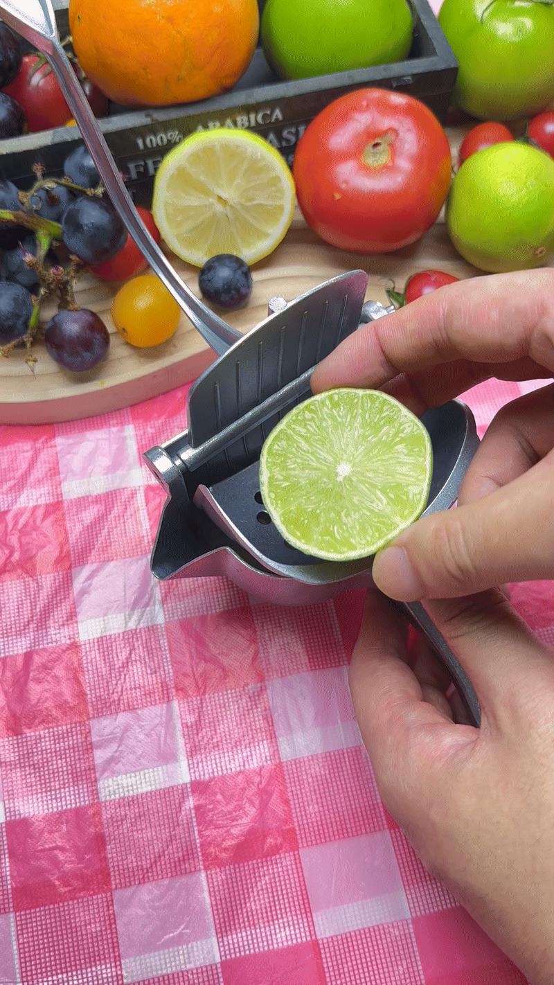 Manueller, vielseitiger Hand-Entsafter